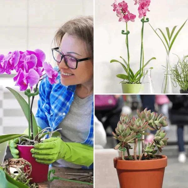 Suporte Inteligente para Plantas de Jardim - Lojas Promorin
