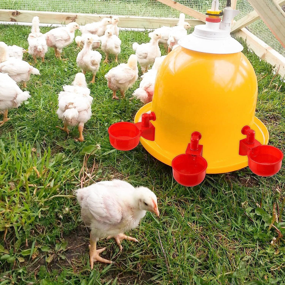 Bebedouro de Água Automatizado para Galinheiros com Detecção de Nível - Lojas Promorin