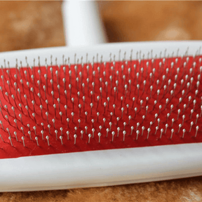 Escova Ultra Fina Massageadora e Removedora - Lojas Promorin