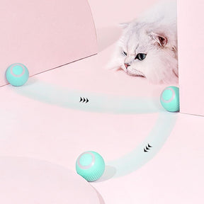 Pet ZOOM - Bolinha elétrica automática que se move sozinha, interativa, para Gatos e Cachorros Pequenos - Lojas Promorin